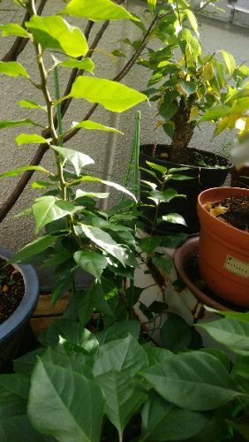 rblog-20171103112352-00.jpg