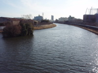 20130303_40.jpg