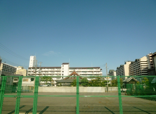 072 (500x368).jpg
