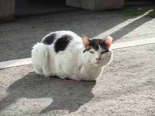 s-DSCF5182.jpg