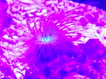 毒６.jpg