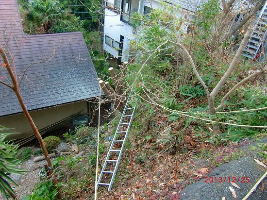 ランチと裏庭の手入れ 022.jpg