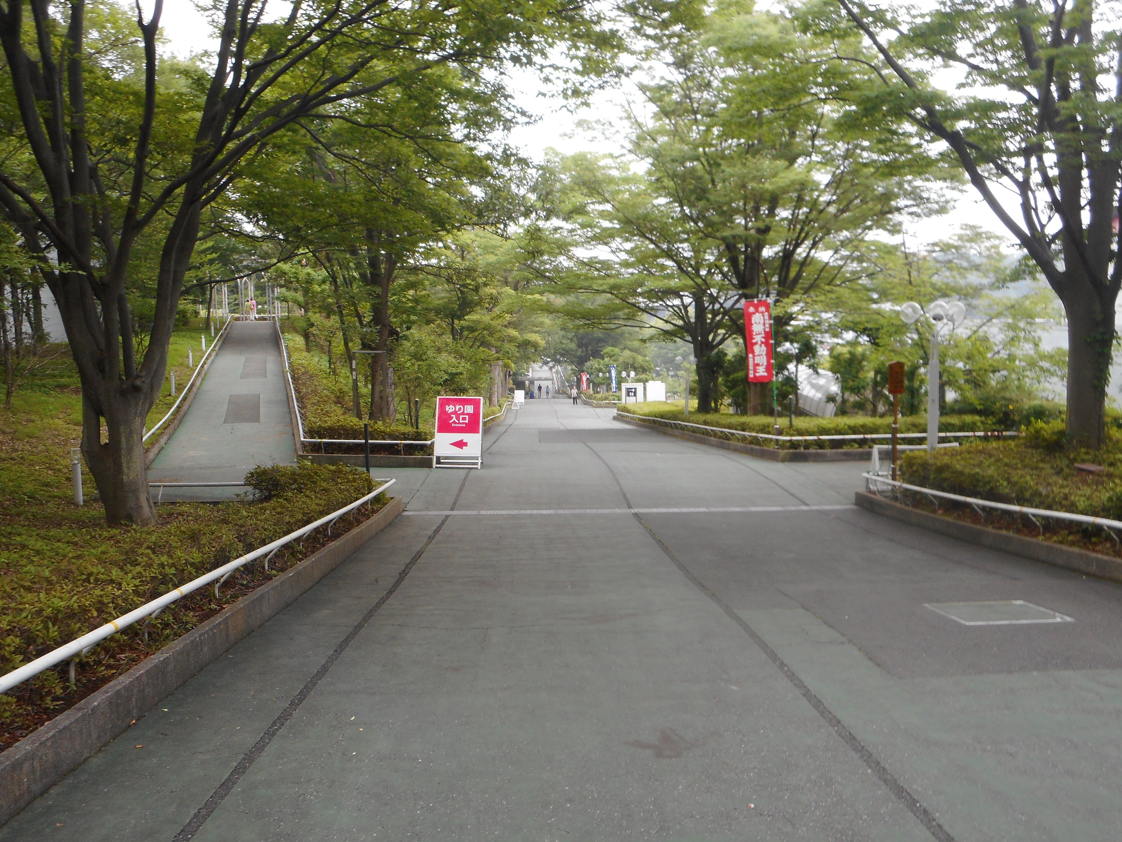 ところざわのゆり園に行ってきました トイプー ココアの成長日記 楽天ブログ