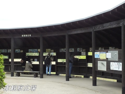 東京港野鳥公園にて