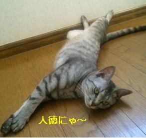 20120714_3.jpg