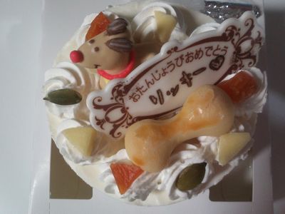 わんこケーキ(^_-)