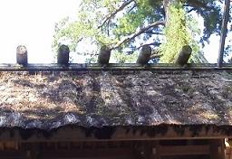 正宮