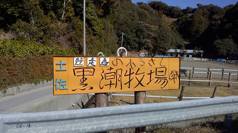 土佐黒潮牧場.jpg