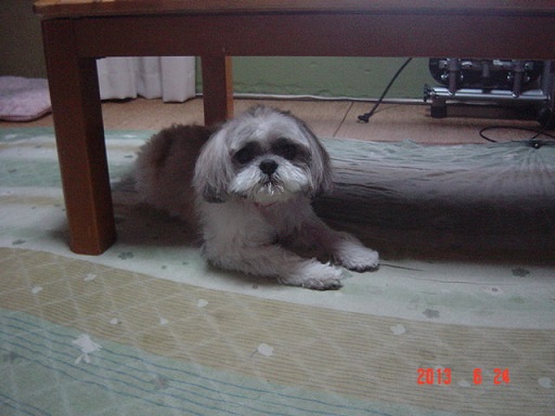 DSC01141.JPG