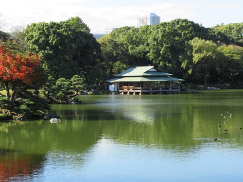 清澄庭園にて