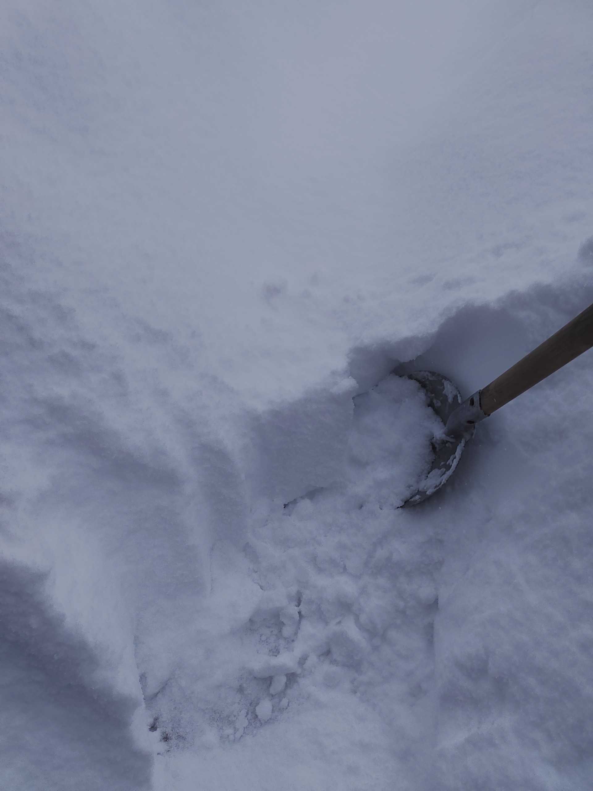 新潟市内 大雪 オレンジ園芸ヽ ﾉ 楽天ブログ