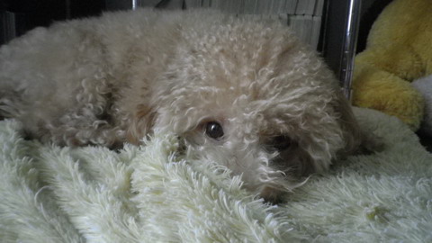 IMGP0469.jpg