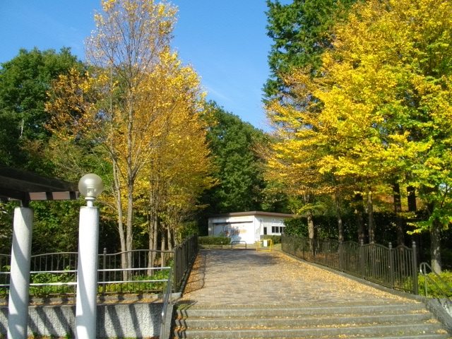 黒目川と秩父アミューズメント＆和銅 141.JPG