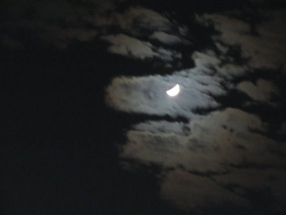 IMG_2355.JPG