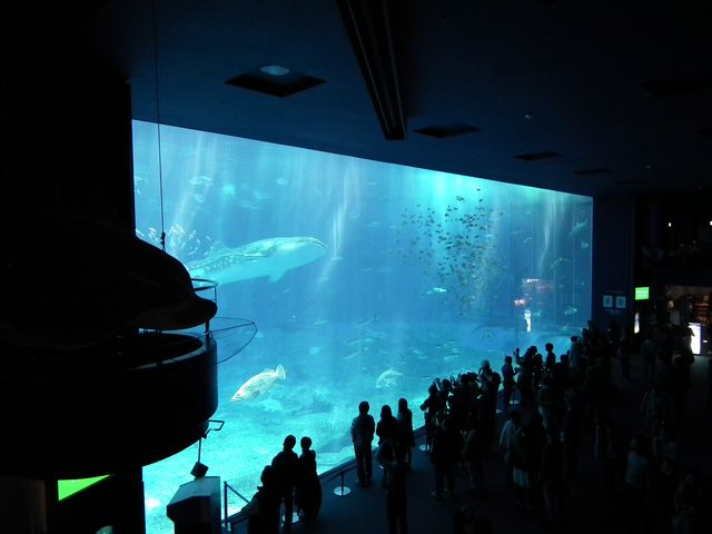 DSCF9230.JPG