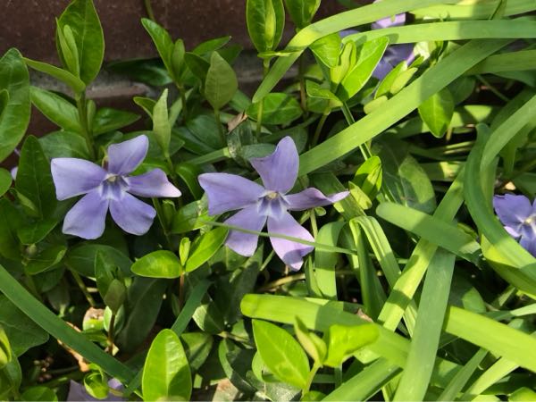 rblog-20180324163010-06.jpg