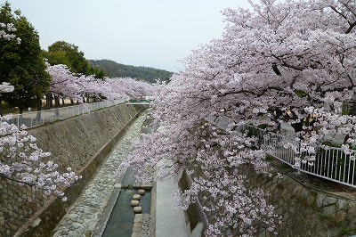 妙法寺川１