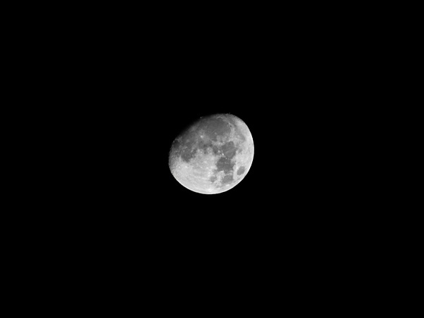 十二夜の月