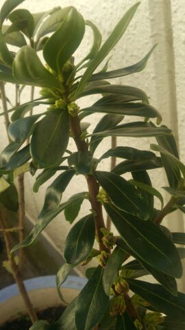 rblog-20150201083034-01.jpg