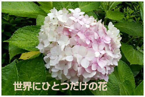 rblog-20160620063054-00.jpg