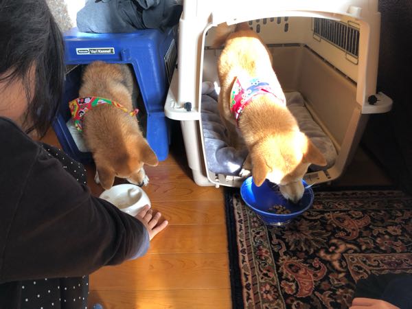 rblog-20190103113629-01.jpg