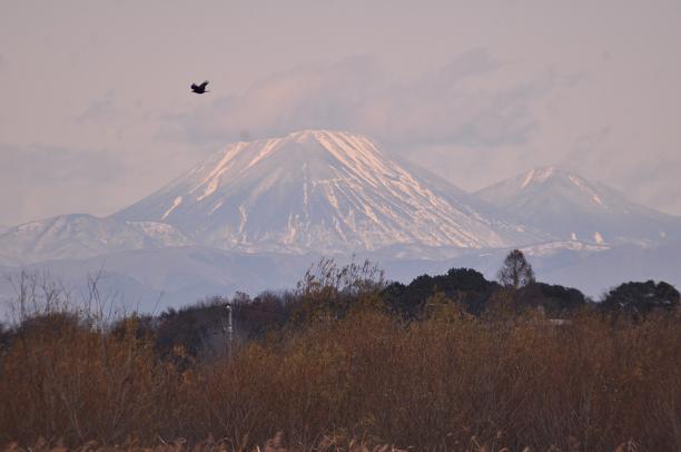 日光男体山