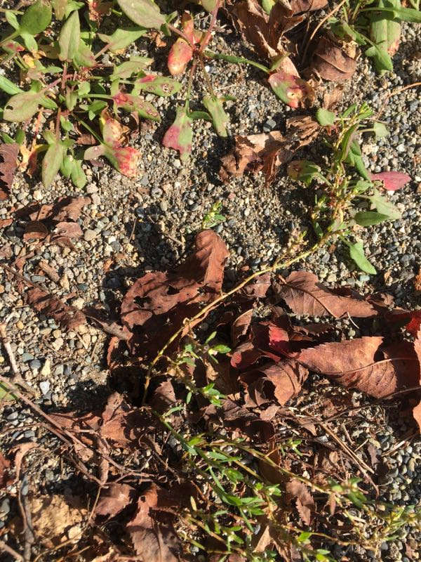 rblog-20181021204420-02.jpg