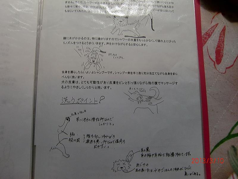 031-2.jpg