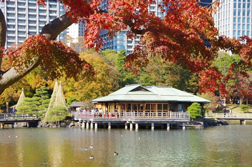 浜離宮恩賜庭園