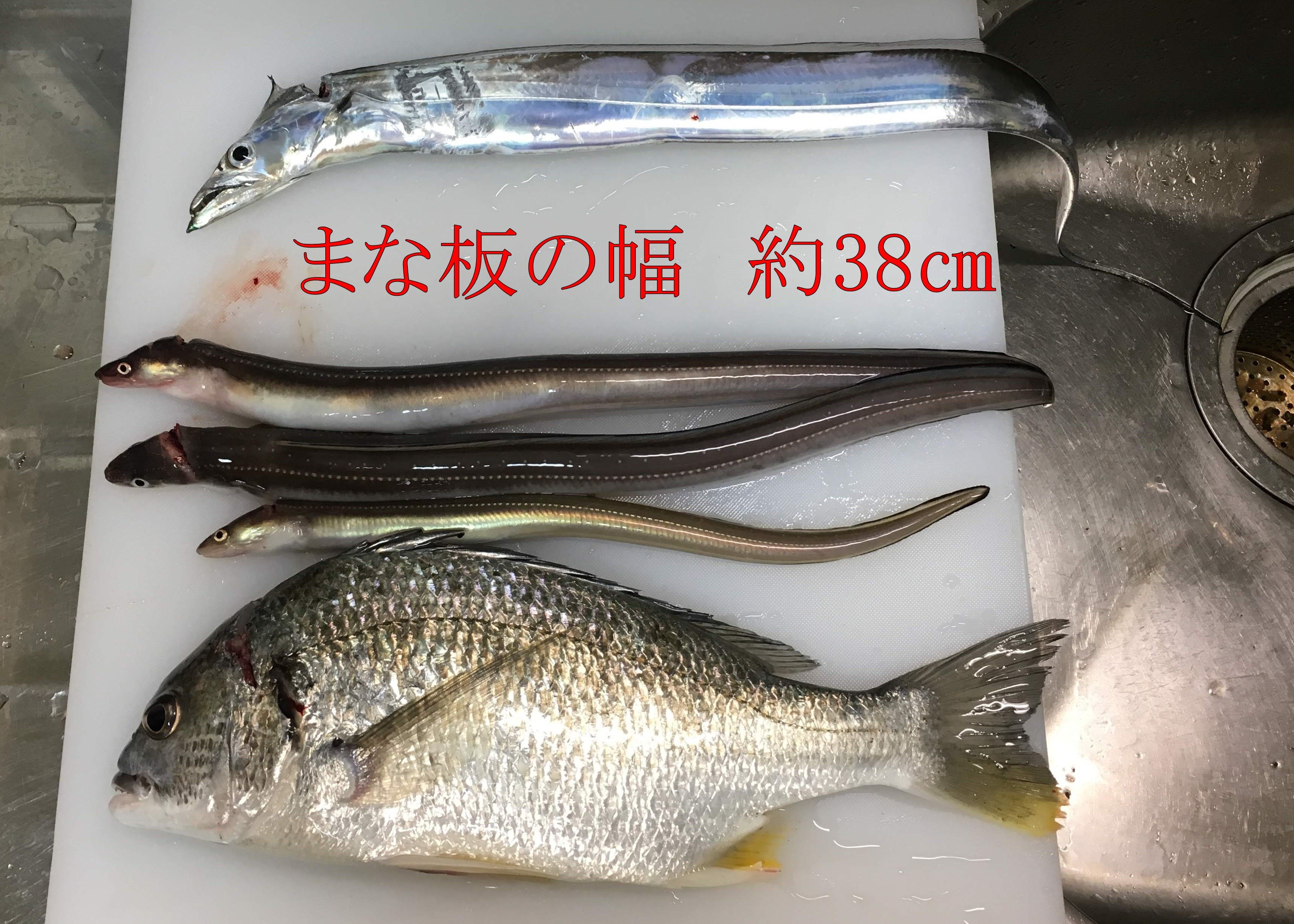 魚釣り プチっと リタイヤ 自分の人生は自分で創造 楽天ブログ