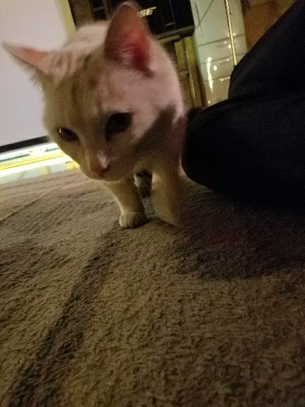 rblog-20180408092422-09.jpg