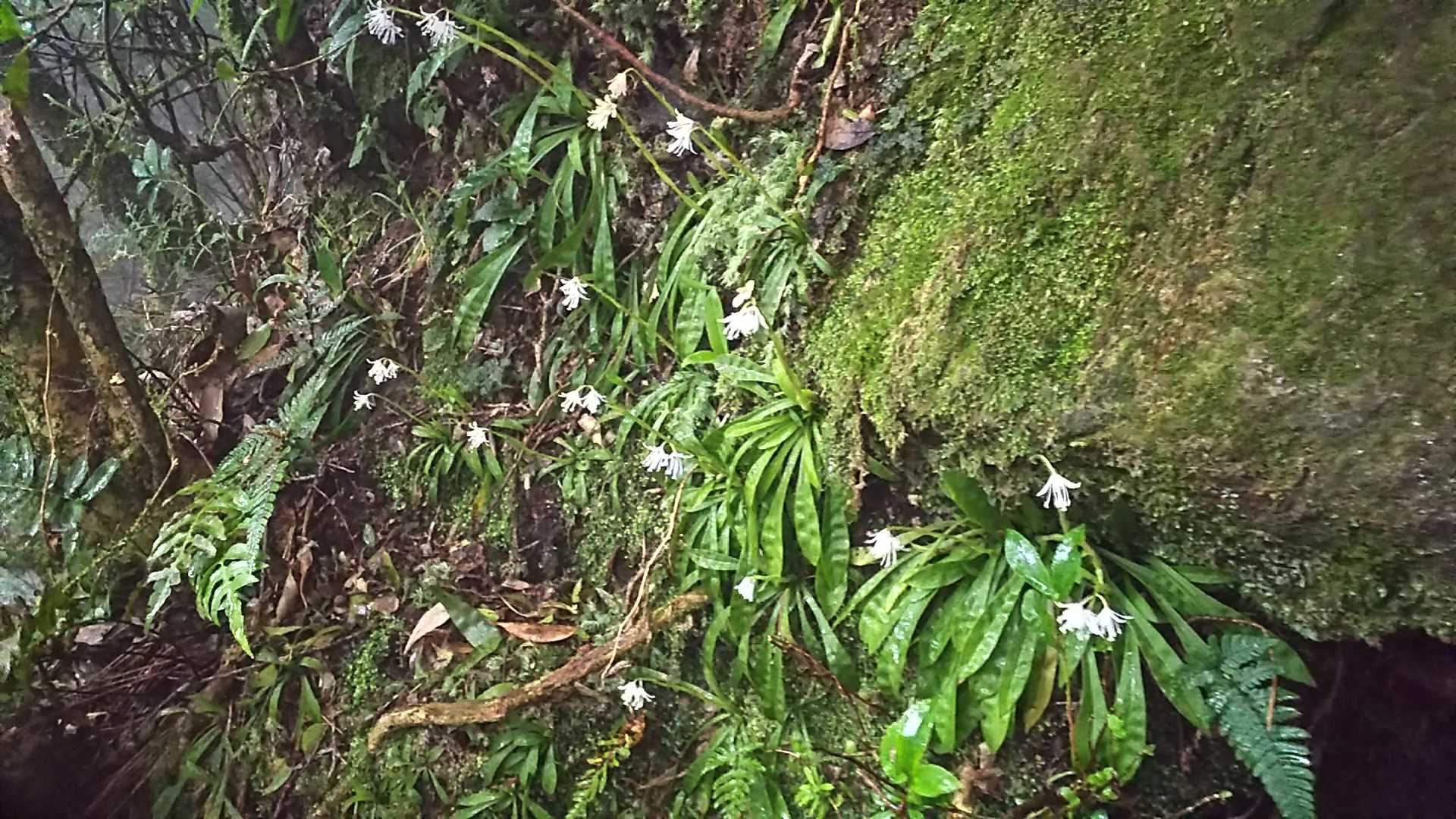 開門岳 | 百名山達成への道 - 楽天ブログ
