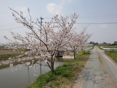 画像 021.jpg