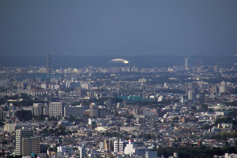 東京市街俯瞰_004西武ドーム.jpg