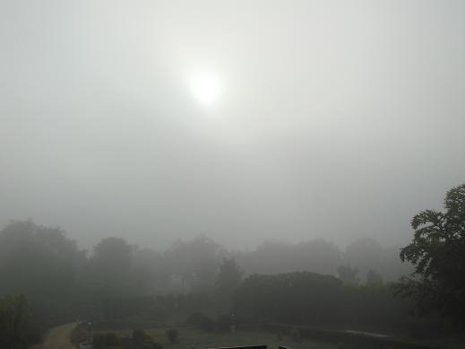 DSC05703.JPG