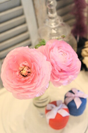 ちっぴーH22.3.29 003.jpg