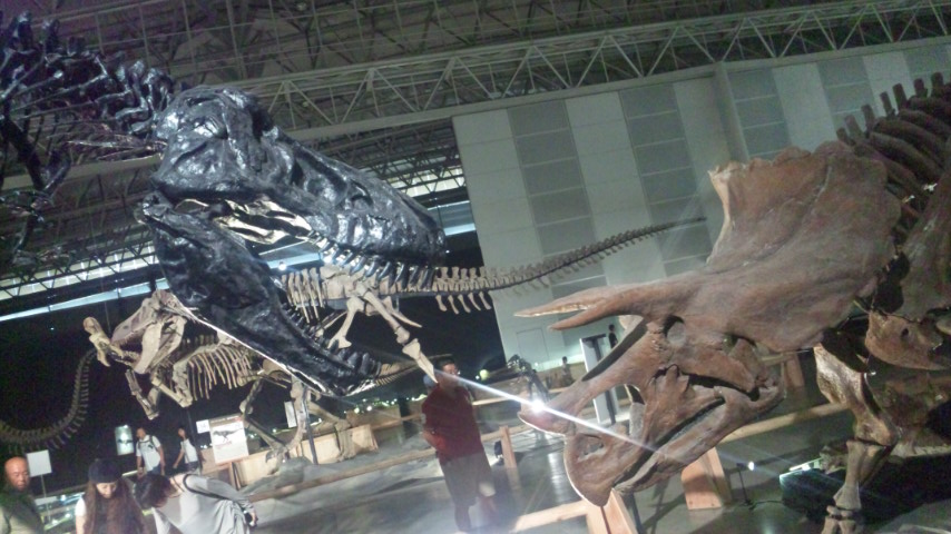 ティラノサウルスＶＳトリケラトプス