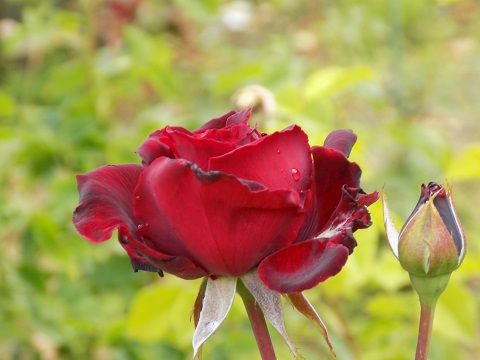 DSCN4338.JPG