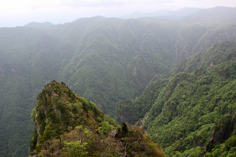大台ケ原_7-2.jpg