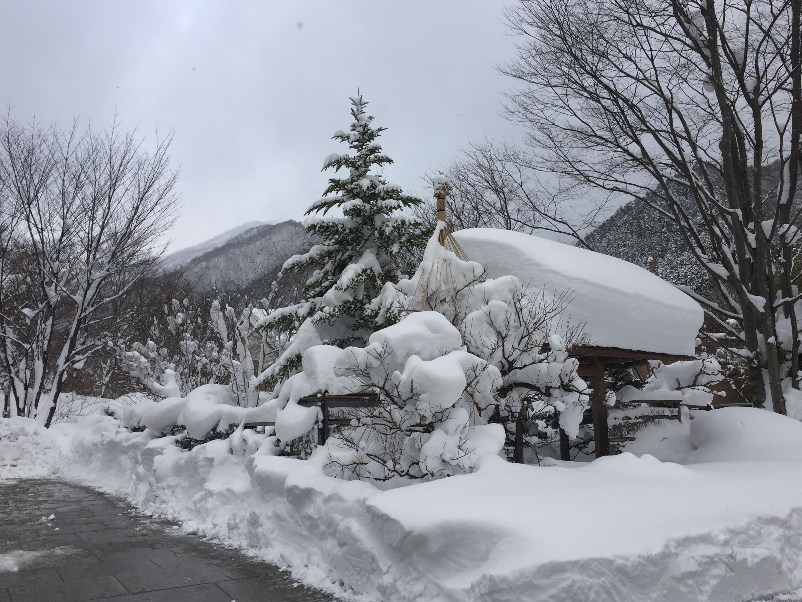 前日の雪景色.JPG