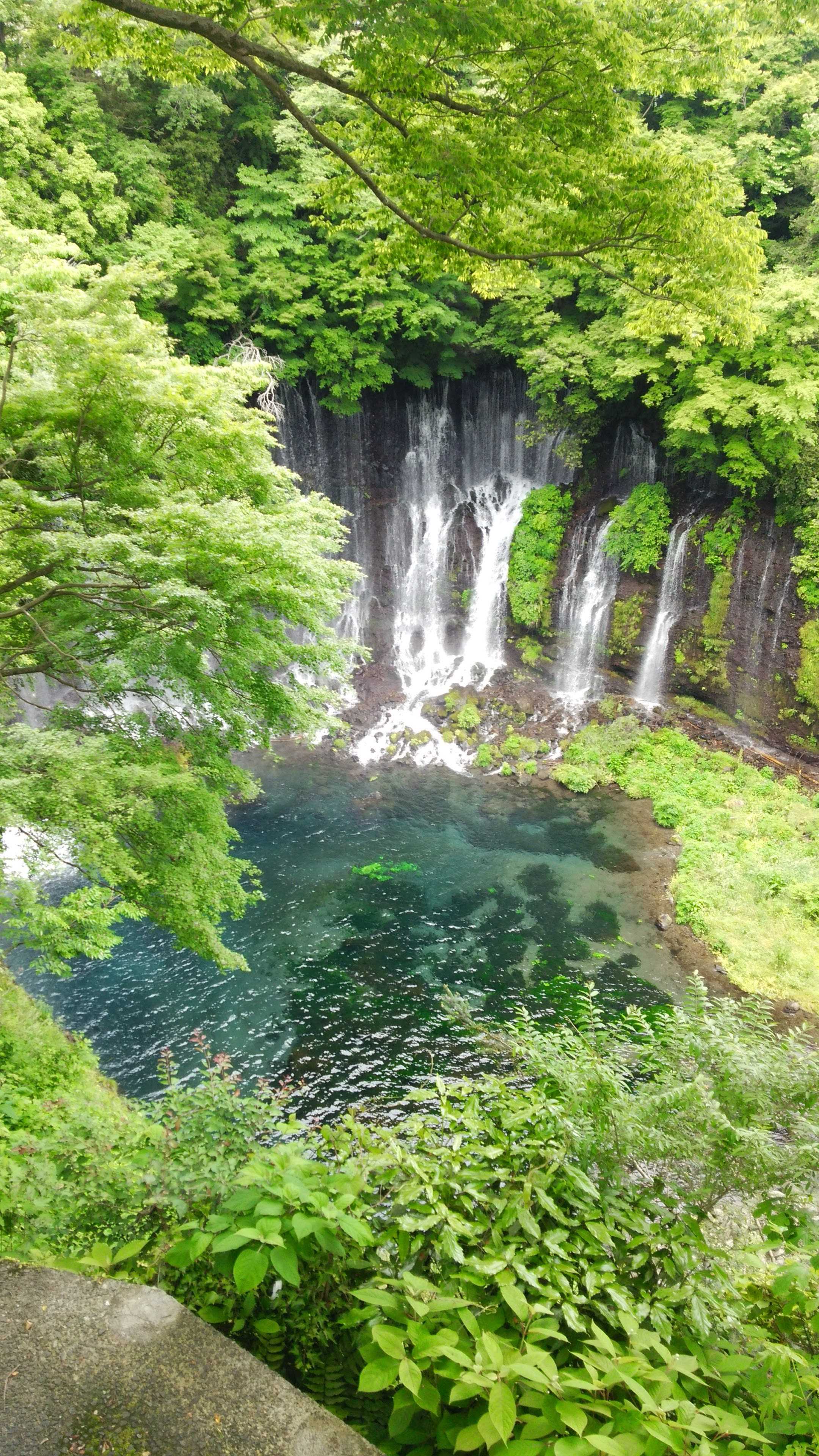 本の紹介 田中さとみ ノトーリアス グリン ピース 本と食と旅心 など 楽天ブログ