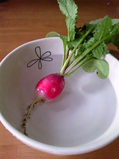 120507_1749~01.jpg
