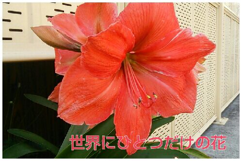 rblog-20160706231057-00.jpg