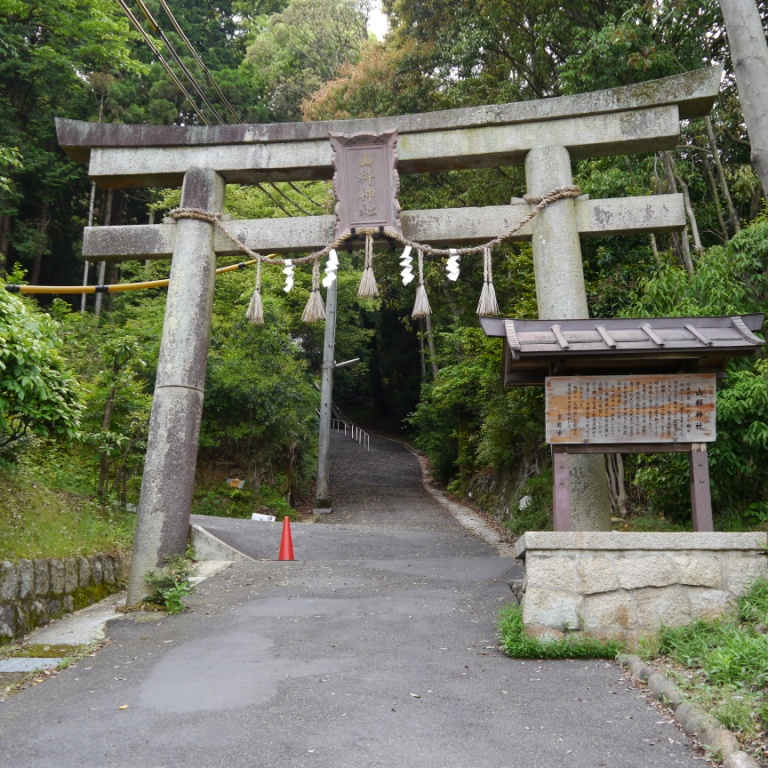 P1070442.JPG