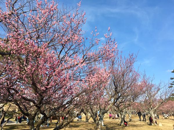 rblog-20180304233813-03.jpg