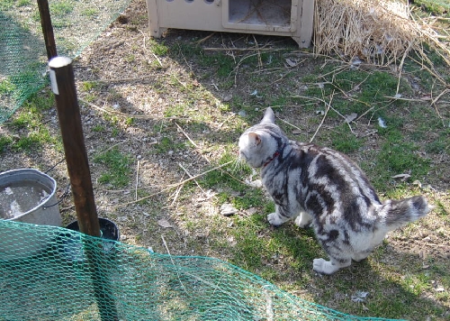DSC_0114.JPG
