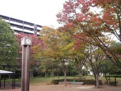 学園８吾妻公園.jpg