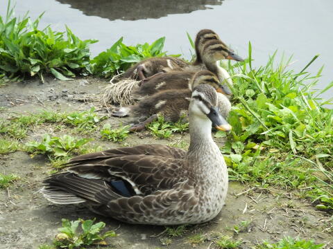 小池公園にて