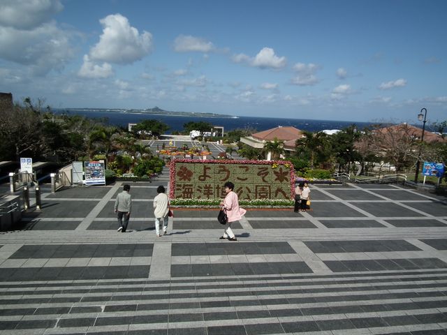 DSCF9137.JPG