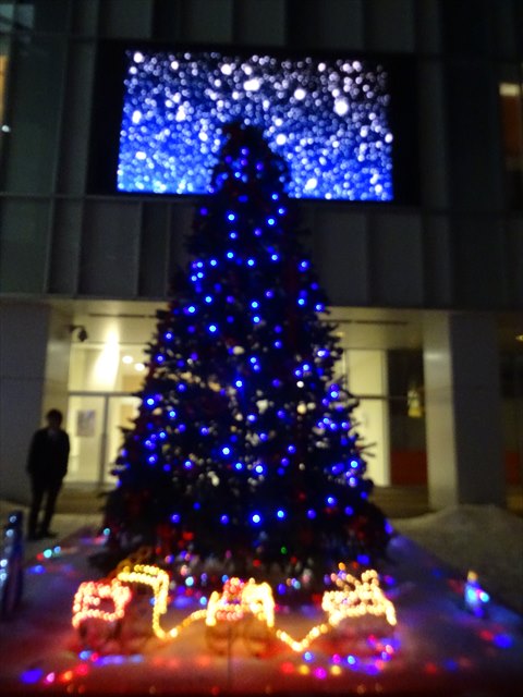 DSC09566_R.JPG
